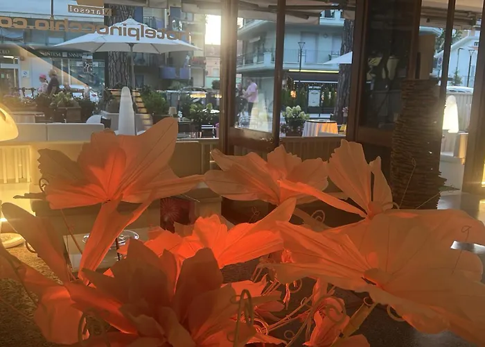 Hotel Pinocchio Cattolica
